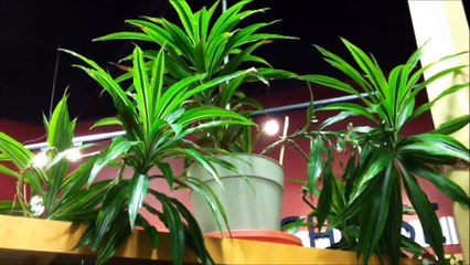 GREATEST FREAK OUT EVER