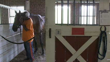 After prison, a fresh start with horses
