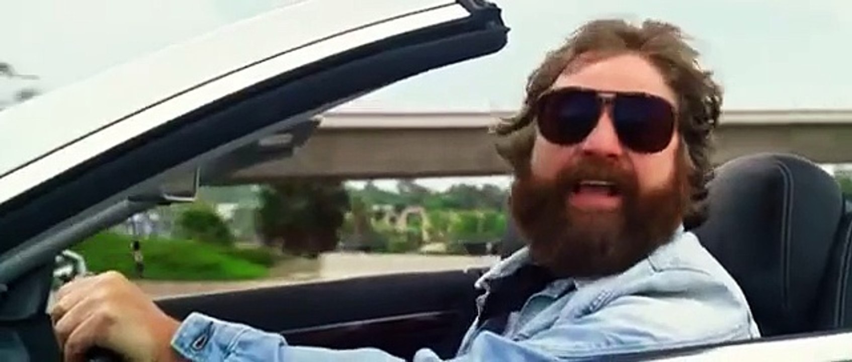 Una notte da Leoni 3 - La giraffa