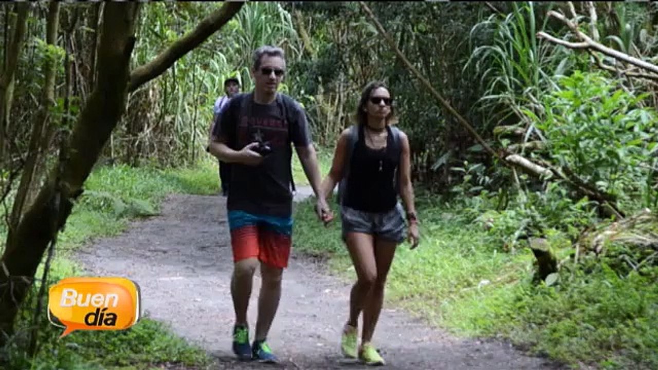 bd-arenal-060715