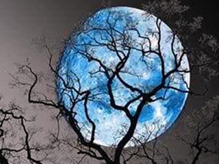 ŠUMSKI PJEVAČI GORTANOVE UVALE - Sretan ti dan (1986)