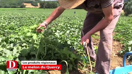 Flash info - Samedi 11 juillet 2015