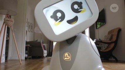 Meet Buddy, The World's First "Companion Robot"
