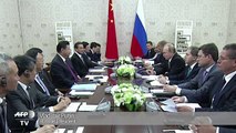 Putin holds talks with China's Xi Jinping ahead of BRICS summit