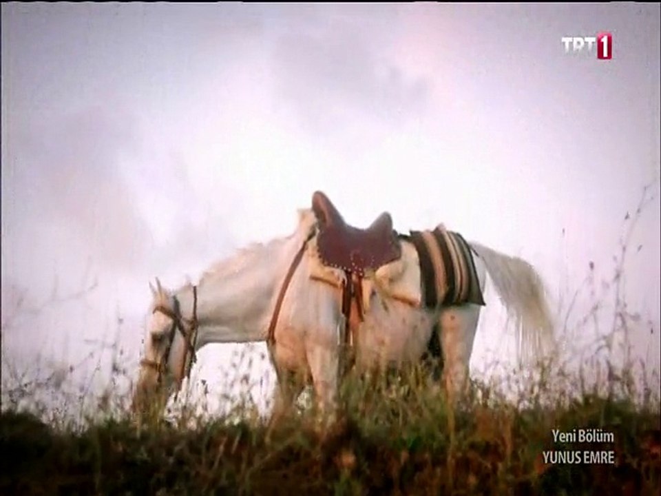 y1_HDTV..