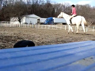 My crazy fall off a horse