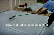 How To Remove Oil Stains From Concrete Driveway - www.SealGreen.com 800-997-3873