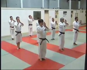 SHORINJI KEMPO : KATA