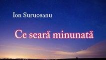 Ion Suruceanu Ce seară minunată versuri