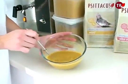 Tutorial High Energy Hand-Feeding Formula - Prepare & Hand Feed Parrots