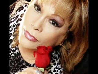 EN  VANO  PALMENIA  PIZARRO