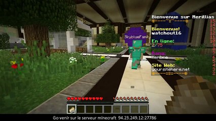 Serveur minecraft MERILLIAS ip : 94.23.249.12:27786