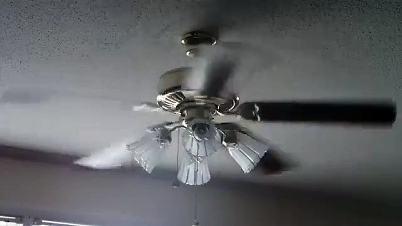 Fans in my house