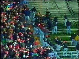 Schalke - Köln Hooligans 2