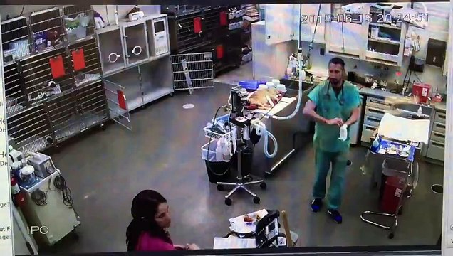 Un vétérinaire giflé par le karma