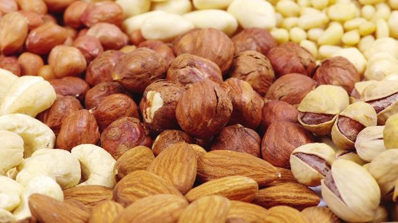 Police use squirrel mugshot to help find nut thief