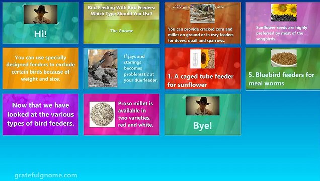 Bird Feeding With Bird Feeders: Which Type Should You Use?