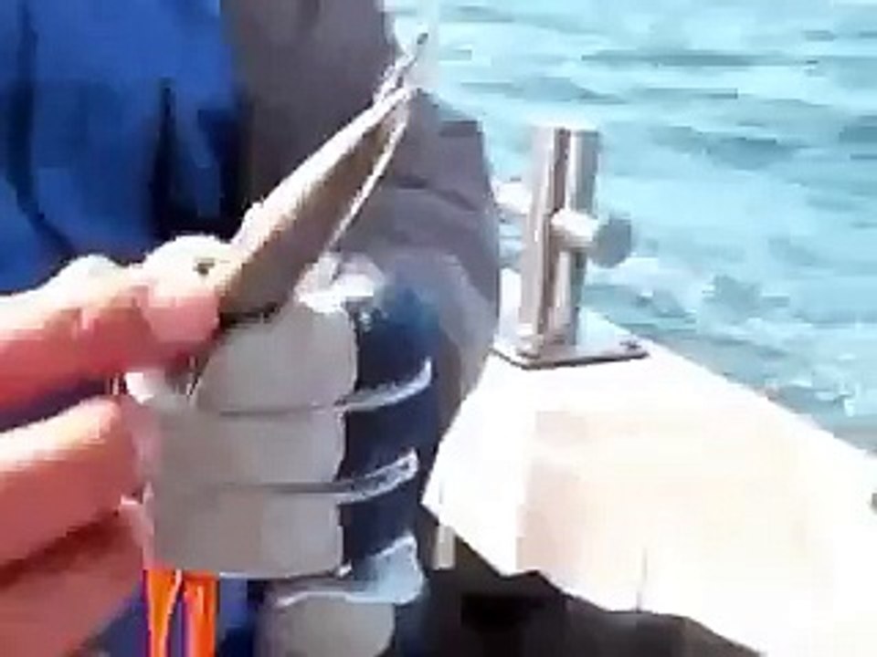 インチクの正しいアクションとは...