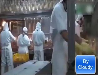 Swedish scientist claims that halal ghost (meat) has magical effects watch- By cloudy