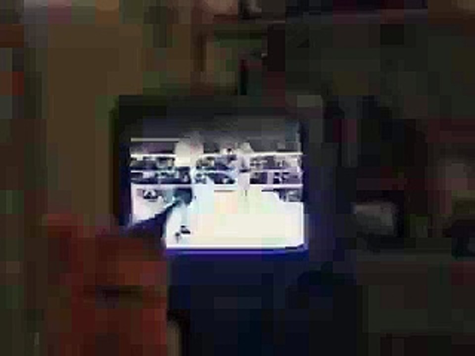 Boxing cat