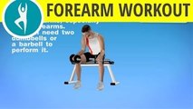 Bodybuilding forearm exercises with dumbbells for men and women at home