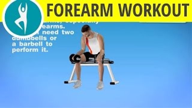 Bodybuilding forearm exercises with dumbbells for men and women at home