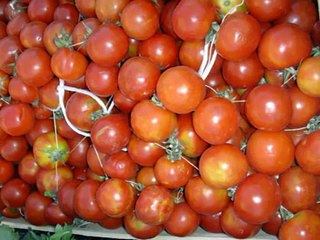 Leone di Lernia - Maccarone