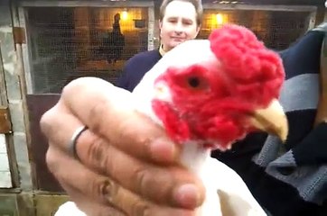 ko shamo vs madrasi by rozer