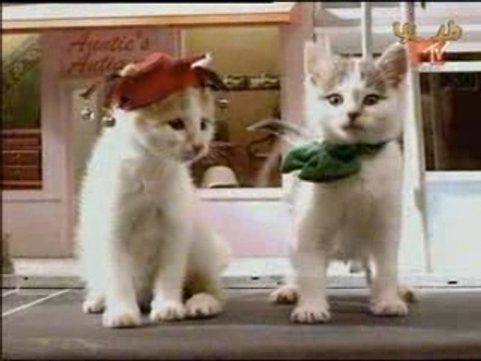 Fatboy Slim - The Joker