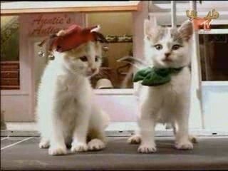 Fatboy Slim - The Joker