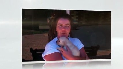 2013 Thank You to Supporters