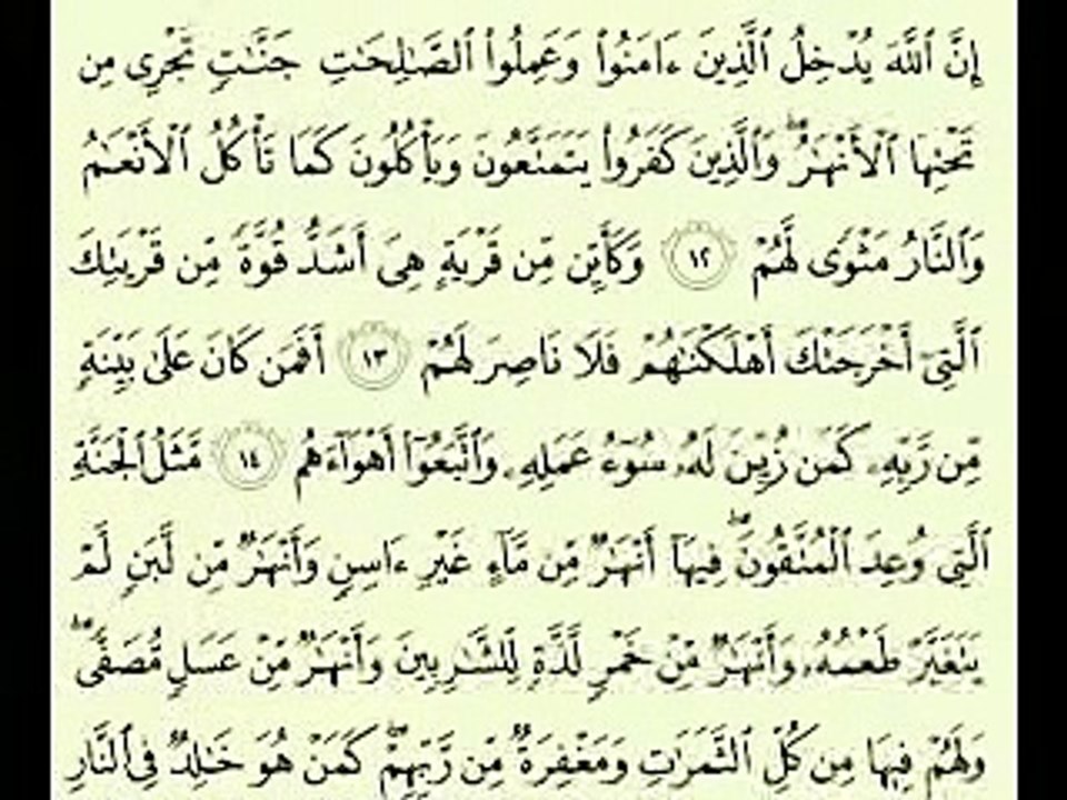 أجمل تلاوة  سورة محمد ماهر المعيقلي