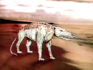 Paleoworld - Back To The Seas