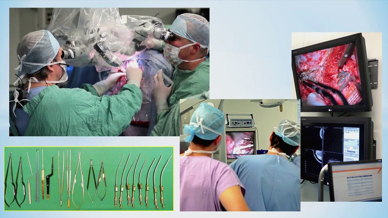 Prof. Helmut Bertalanffy, The Art of Brain Surgery, at BERLIN.MINDS