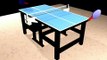 Table Tennis/ ping pong (animation)