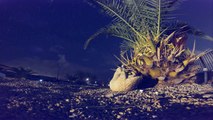 GoPro: Night-Lapse Special (In 4K) CE Productions 