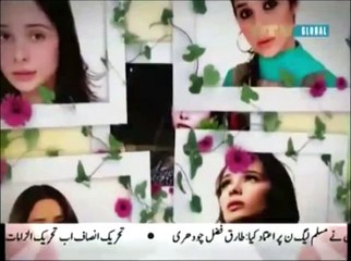 Tariq Ameen PTV GLOBAL