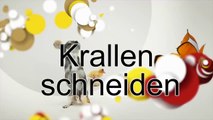 Krallen schneiden beim Hund - Tipps für Zuhause - Expertentalk