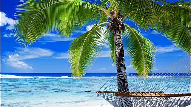 Happy Background Music For Presentations (Upbeat) Success At Ukulele Beach