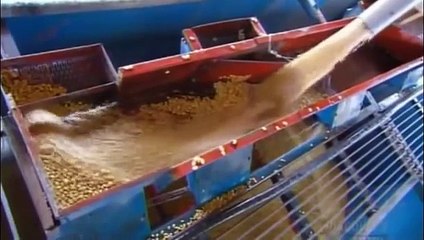 How its made  coffee