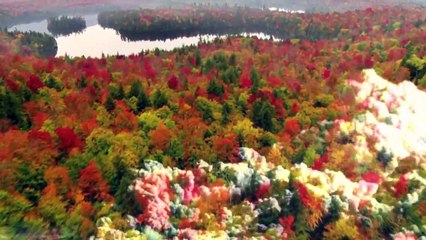 Epreuve Finale  -  "Firts Step" [E01S1]