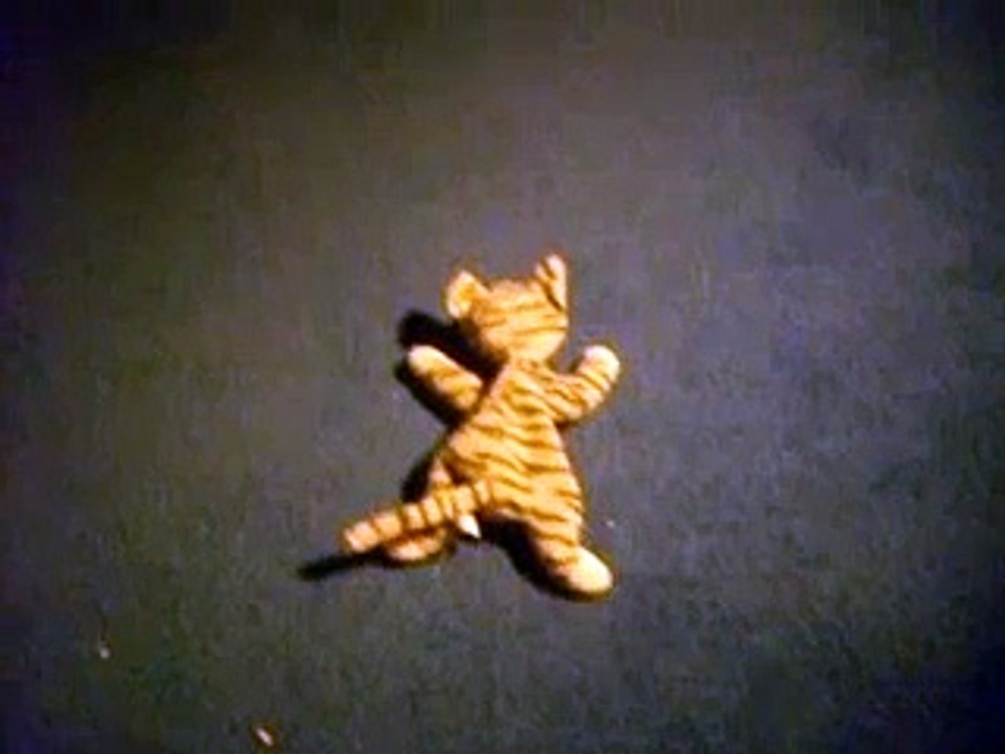 Scary Ghost Cat