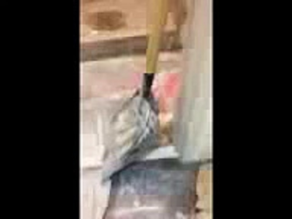 video3gpp_2_3.3gp