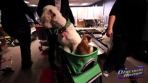 Behind The Scenes at Discount Ramps.com - Lucky Dog Photo Shoot