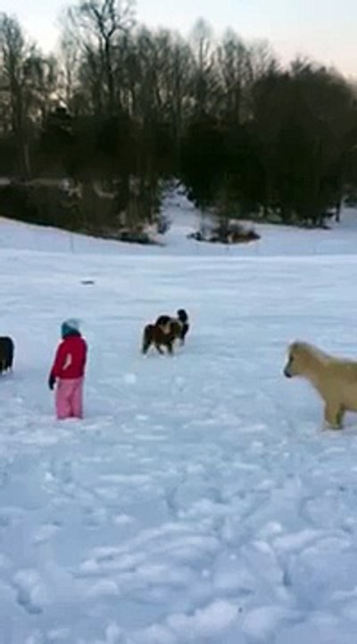 Sledding with Minis #3