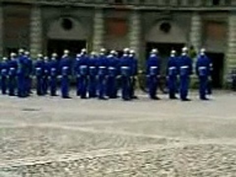 Swedish Royal Palace Guards