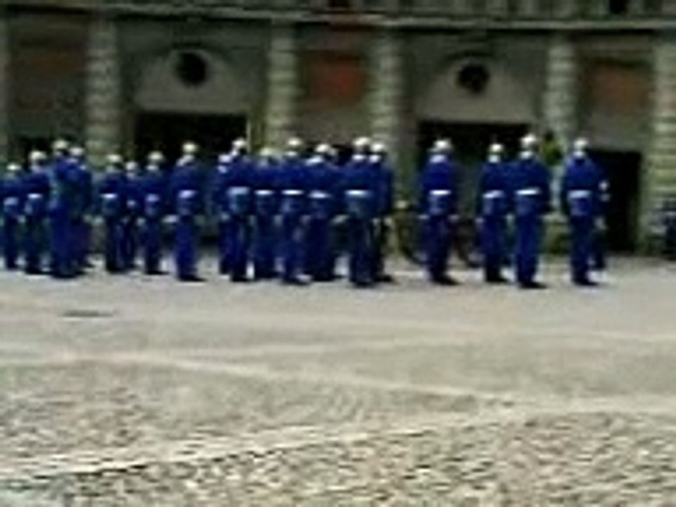 Swedish Royal Palace Guards
