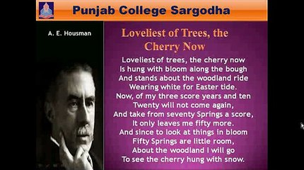 Loveliest of The Trees The Cherry Now (3)