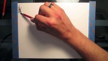 How to draw Rainforest Trees