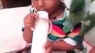 True Friendship Of A Child And Parrot/SpicyFunZone.Com